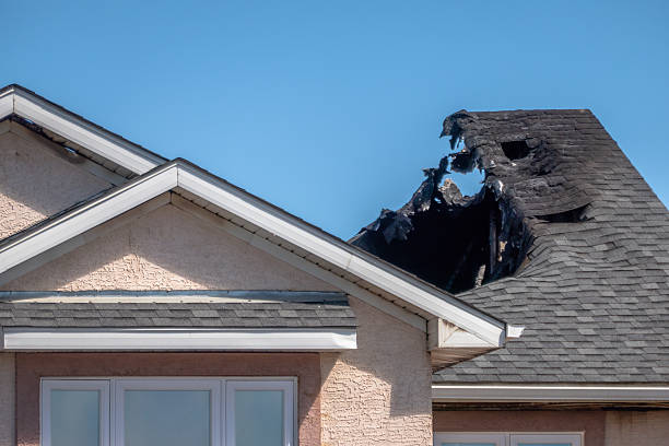 Top rated local Board Up Services specialists in Bryn Mawr, PA